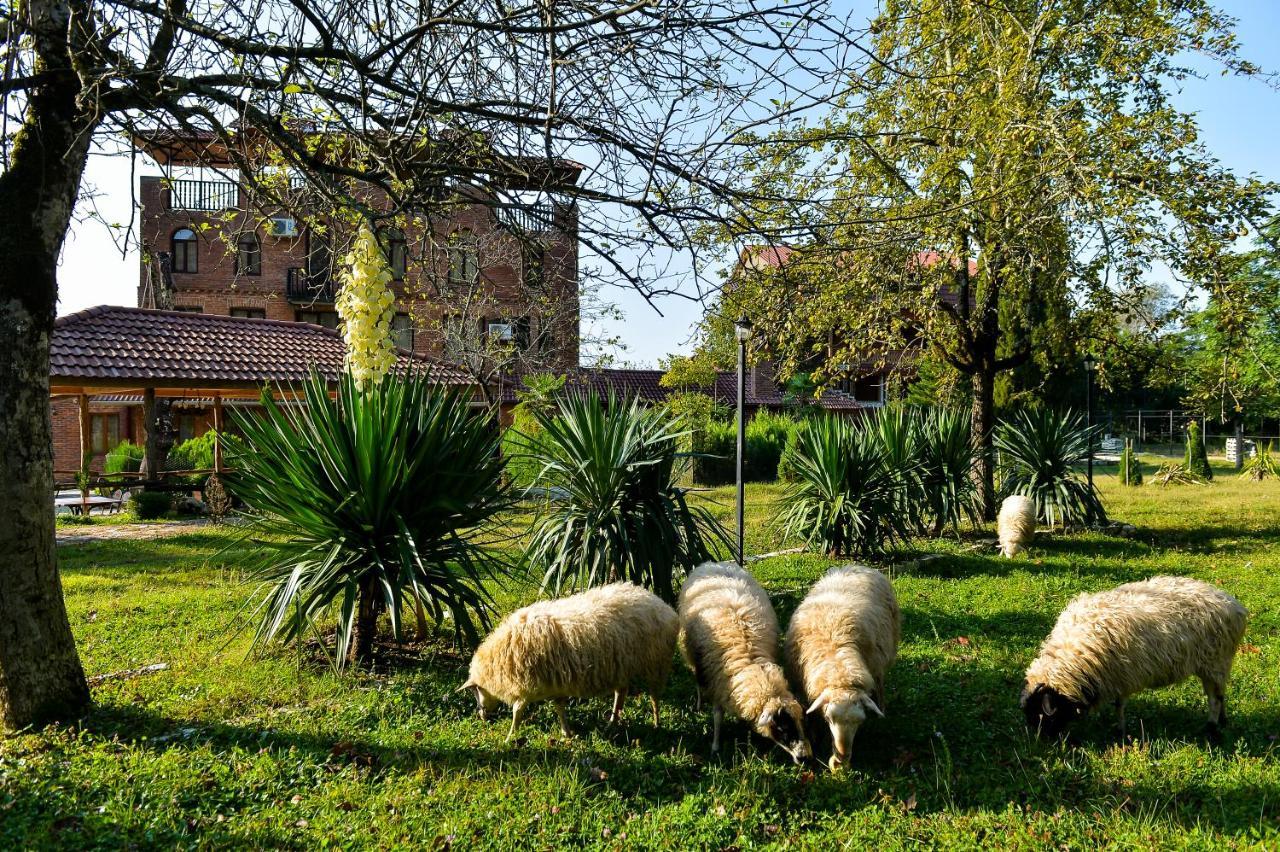 Chateau Chikovani Hotel Gordi Exterior photo
